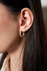 Crystal Earrings